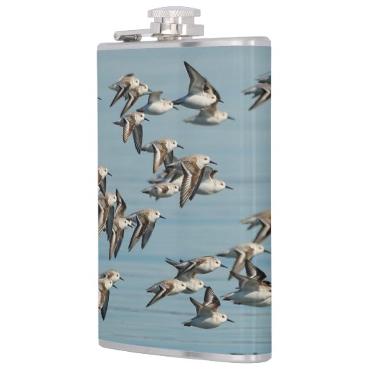 Sanderlings Vliegen in de winter Heupfles (Links)