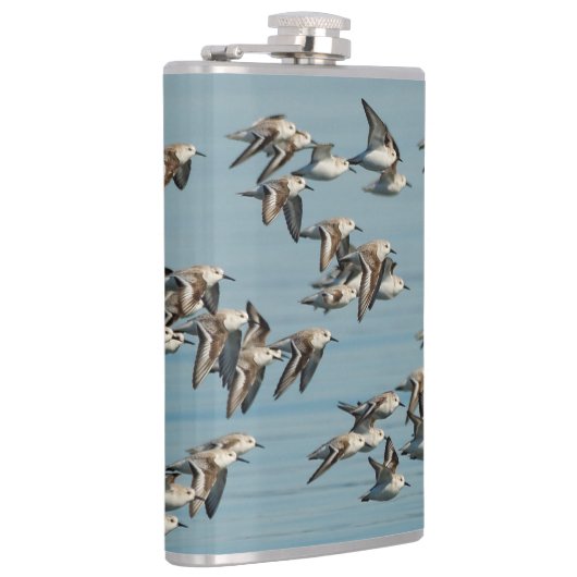 Sanderlings Vliegen in de winter Heupfles (Rechts)