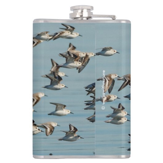 Sanderlings Vliegen in de winter Heupfles (Achterkant)