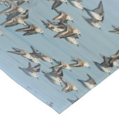 Sanderlings Vliegen in de winter Korte Tafelloper (Hoek)