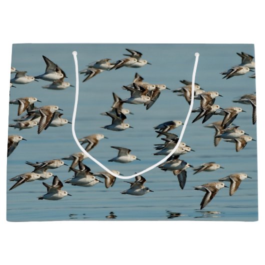Sanderlings Vliegen in de winter Large Cadeautasje (Voorkant)