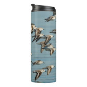 Sanderlings Vliegen in de winter Thermosbeker (Geroteerd rechts)