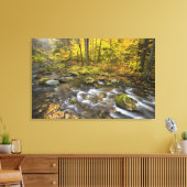 Sanderson Brook. Chester-Blanford State Forest. Canvas Afdruk (Insitu (Woonkamer))