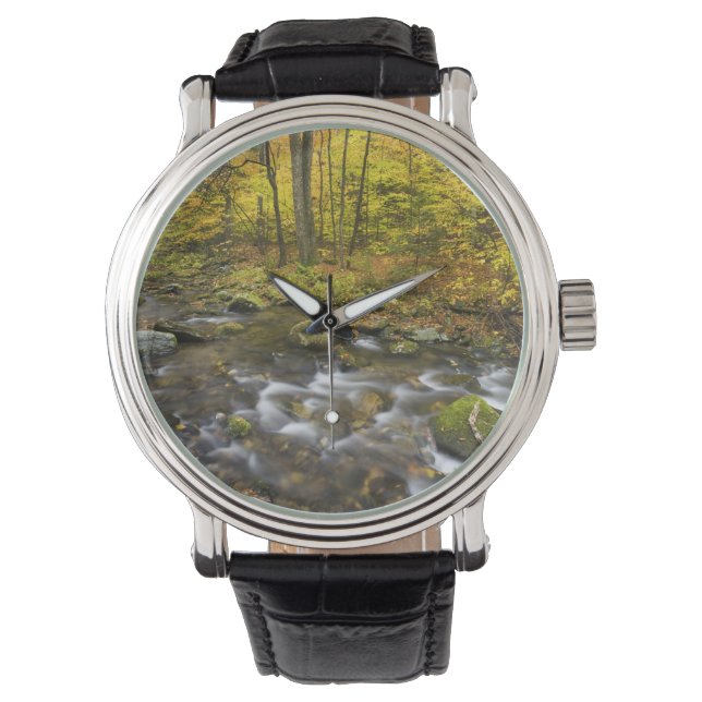 Sanderson Brook.  Chester-Blanford State Forest. Horloge (Voorkant)
