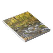 Sanderson Brook. Chester-Blanford State Forest. Notitieblok (Schuin)