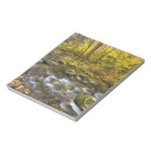 Sanderson Brook. Chester-Blanford State Forest. Notitieblok (Linkerzijde)