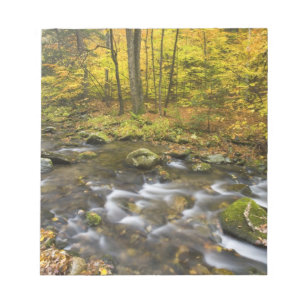 Sanderson Brook. Chester-Blanford State Forest. Notitieblok
