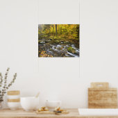 Sanderson Brook. Chester-Blanford State Forest. Poster (Keuken)