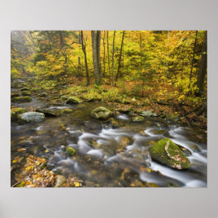 Sanderson Brook.  Chester-Blanford State Forest. Poster