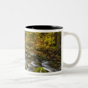 Sanderson Brook. Chester-Blanford State Forest. Tweekleurige Koffiemok