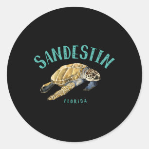 Sandestin Florida Zee Turtle Ronde Sticker