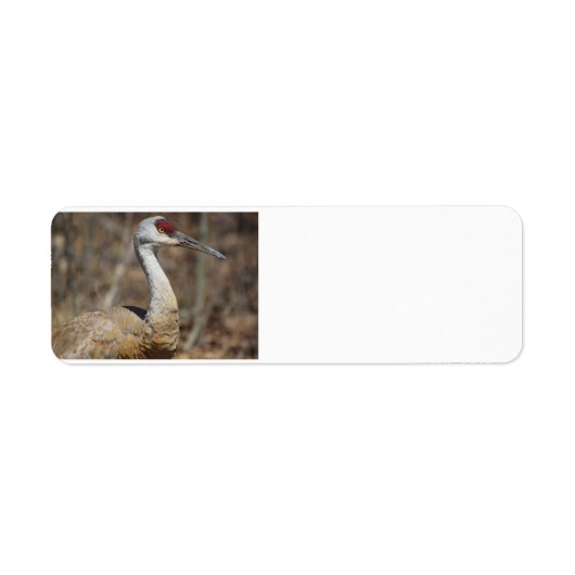 Sandhill Crane adresetiketten Etiket (Voorkant)