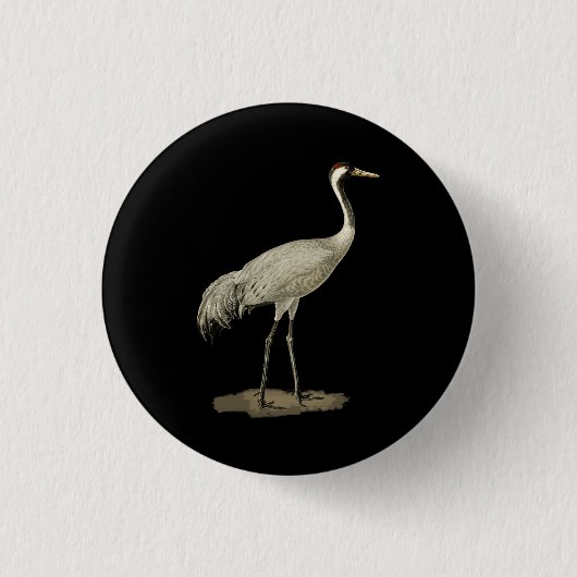 Sandhill Crane Antigone Canadensis Bird Refers Ronde Button 3,2 Cm (Voorkant)