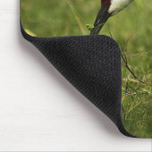 Sandhill Crane & Baby mousepad Muismat (Hoek)