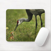Sandhill Crane & Baby mousepad Muismat (Met muis)