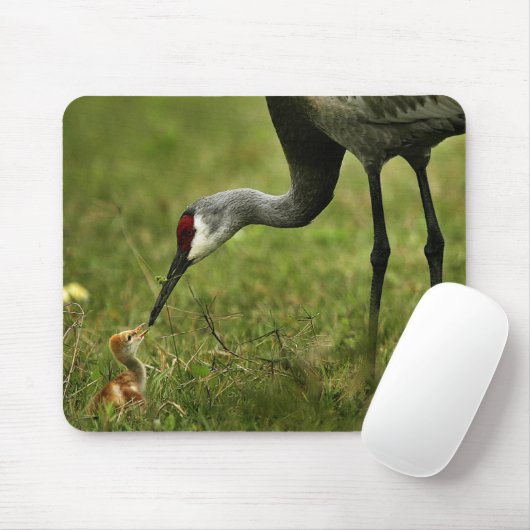 Sandhill Crane & Baby mousepad Muismat (Met muis)