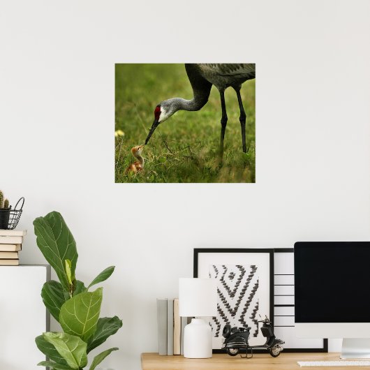 Sandhill Crane & Baby Poster (Thuiskantoor)