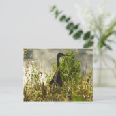 Sandhill Crane bij Moose Ponds in Grand Teton Briefkaart (Staand voorkant)