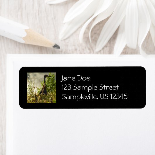 Sandhill Crane bij Moose Ponds in Grand Teton Etiket (Insitu)