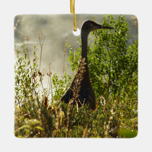 Sandhill Crane bij Moose Ponds in Grand Teton Keramisch Ornament (Voorkant)