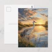 Sandhill Crane bij zonsondergang Briefkaart (Voorkant / Achterkant)