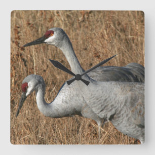 Sandhill Crane Birds Clock Vierkante Klok