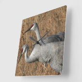 Sandhill Crane Birds Clock Vierkante Klok (Hoek)
