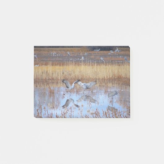 Sandhill Crane Birds Dance Wildlife Post Post-it® Notes (Voorkant)