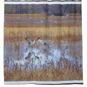 Sandhill Crane Birds Wilde Dier Douchegordijn (Voorkant)