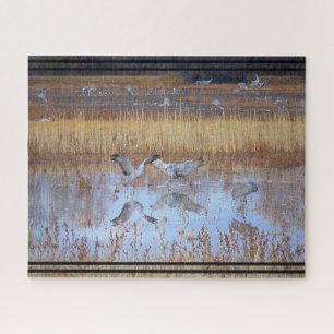 Sandhill Crane Birds Wildlife Animal Jigzaag Puzzl Legpuzzel