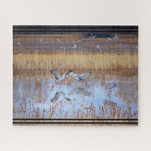 Sandhill Crane Birds Wildlife Animal Jigzaag Puzzl Legpuzzel (Horizontaal)