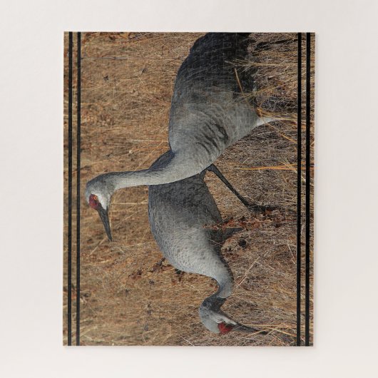 Sandhill Crane Birds Wildlife Animal Jigzaag Puzzl Legpuzzel (Verticaal)