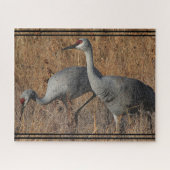 Sandhill Crane Birds Wildlife Animal Jigzaag Puzzl Legpuzzel (Horizontaal)