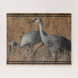 Sandhill Crane Birds Wildlife Animal Jigzaag Puzzl Legpuzzel