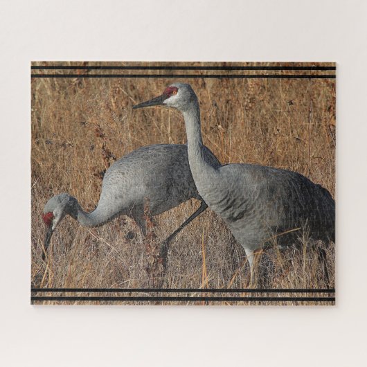 Sandhill Crane Birds Wildlife Animal Jigzaag Puzzl Legpuzzel (Horizontaal)