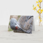 Sandhill Crane Blank Note Kaart (Gele Bloem)