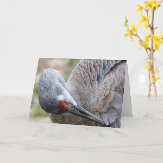 Sandhill Crane Blank Note Kaart (Gele Bloem)