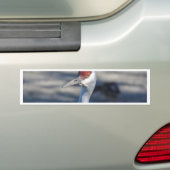 Sandhill Crane Bumpersticker (Op auto)