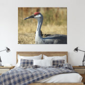 Sandhill Crane Canvas Afdruk (Insitu (Slaapkamer))