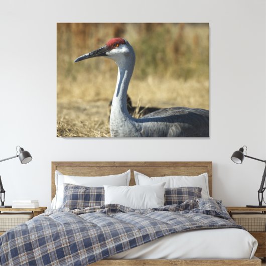 Sandhill Crane Canvas Afdruk (Insitu (Slaapkamer))