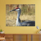 Sandhill Crane Canvas Afdruk (Insitu (Woonkamer))