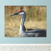 Sandhill Crane Canvas Afdruk (Insitu (Houten vloer))