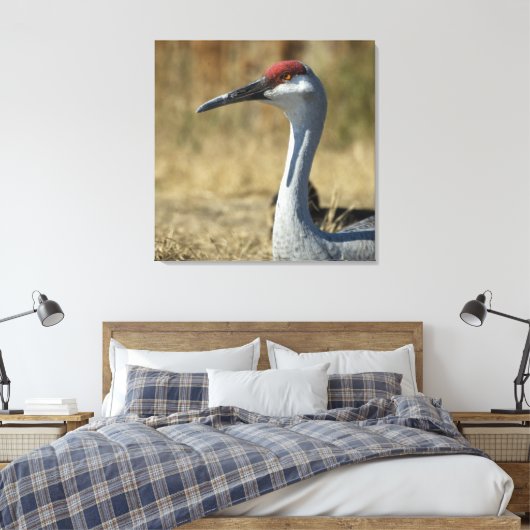 Sandhill Crane Canvas Afdruk (Insitu (Slaapkamer))