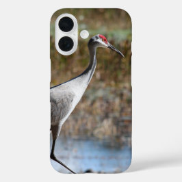Sandhill Crane iPhone 16 Hoesje