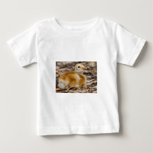 Sandhill Crane Chick (Voorkant)