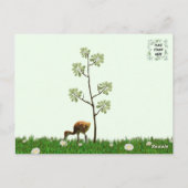 Sandhill Crane Colt (kuiken) Briefkaart (Achterkant)