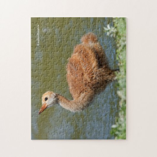 Sandhill Crane Colt Legpuzzel (Verticaal)