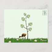 Sandhill Crane en 2 Colts (kuiken) Briefkaart (Achterkant)