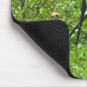 Sandhill Crane en Chick Muismat (Hoek)