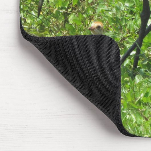 Sandhill Crane en Chick Muismat (Hoek)